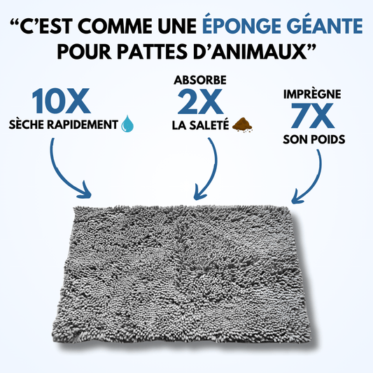 Tapis Magic pour Chiens