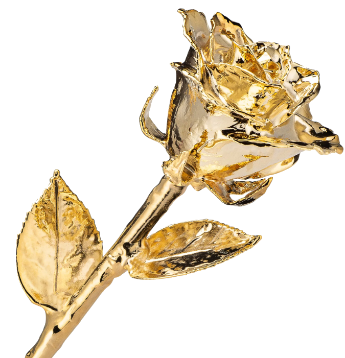 Rose Immortelle™ - plaqué or